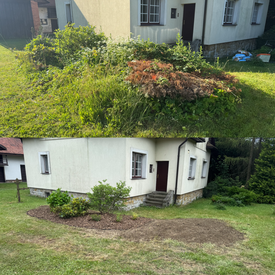 revitalizace záhonu s dosevem trávníku